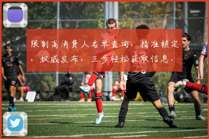 限制高消费人名单查询，精准锁定，权威发布，三步轻松获取信息，一网打尽。