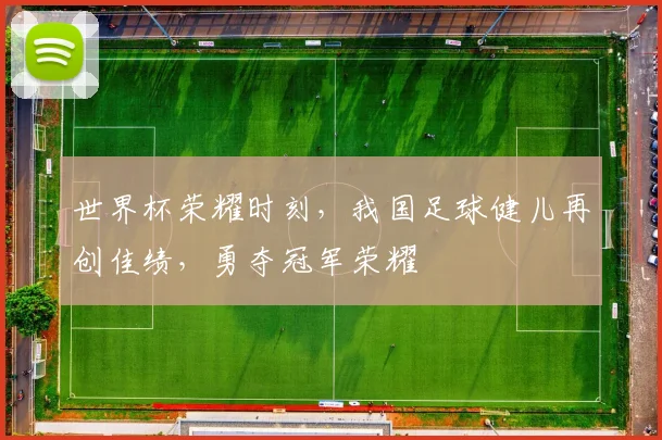 世界杯荣耀时刻，我国足球健儿再创佳绩，勇夺冠军荣耀
