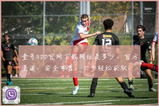 壹号app官网下载网址是多少，官方渠道，安全可靠，三步轻松获取，立即体验